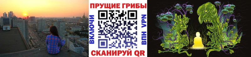 Галлюциногенные грибы MAGIC MUSHROOMS  Туринск 