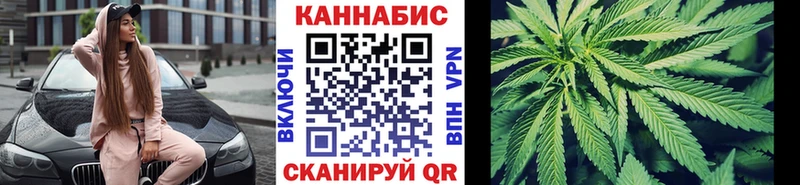 Канабис сатива  Туринск 